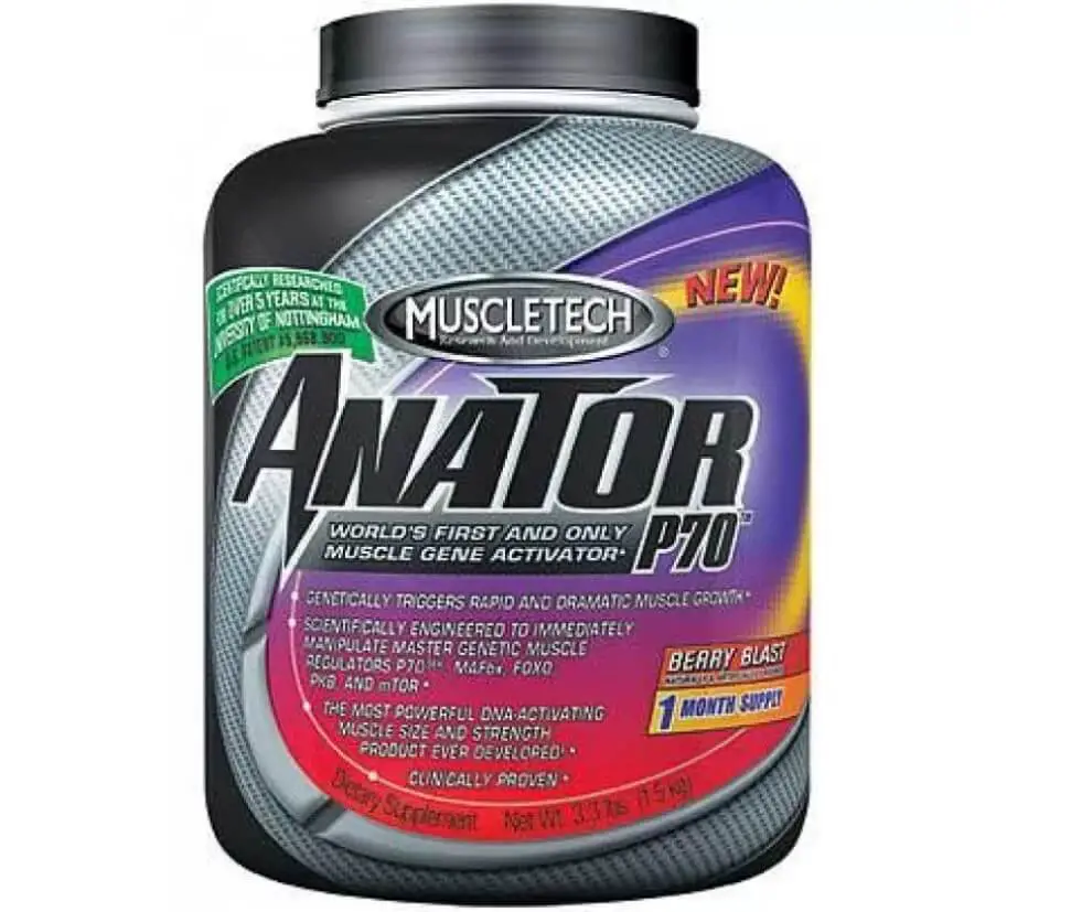 How Does The Anator P70 Work