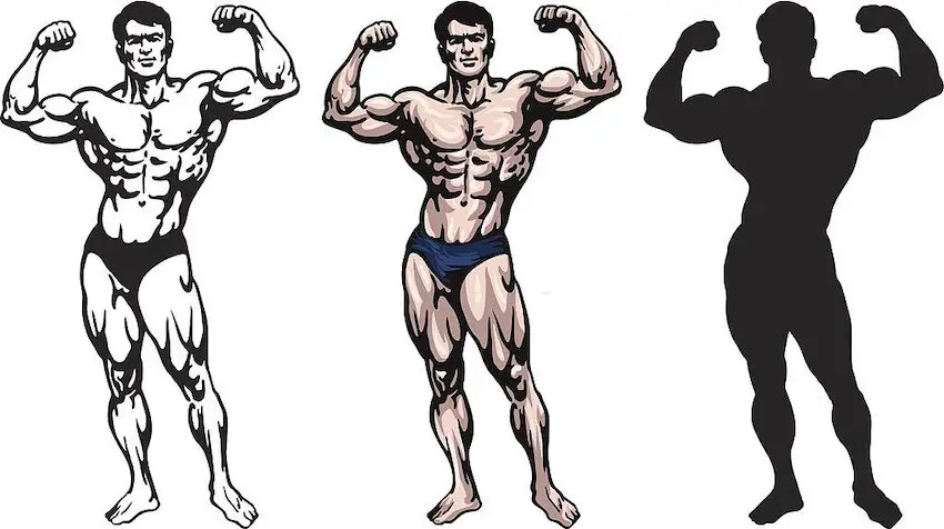 Top Questions about Pinning in Bodybuilding