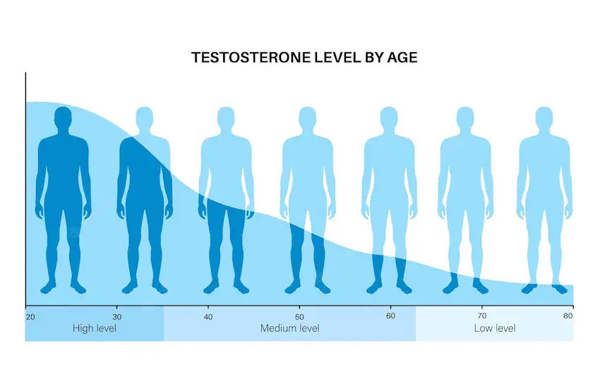 testosterone levels in your body