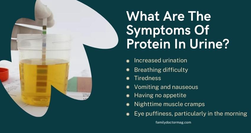 What Are The Symptoms Of Protein In Urine